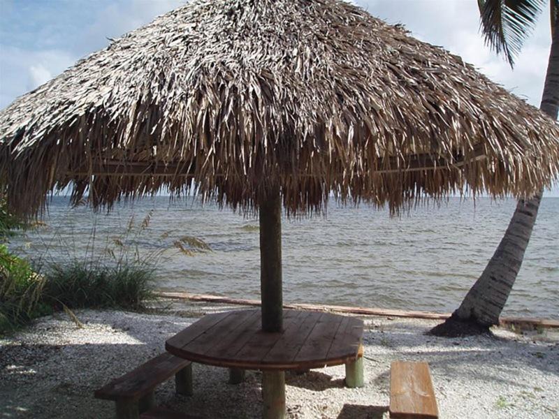Photo of Others in Bokeelia
