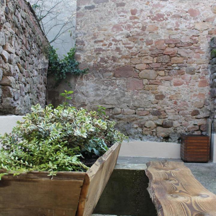 Photo of Others in Dambach-la-Ville