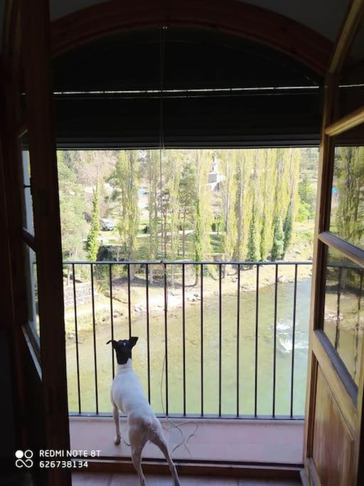 Photo of Patio Balcony in Baix Pallars