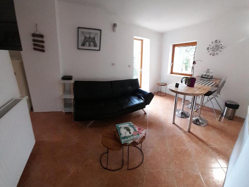 Photo of Livingroom in Puycalvel