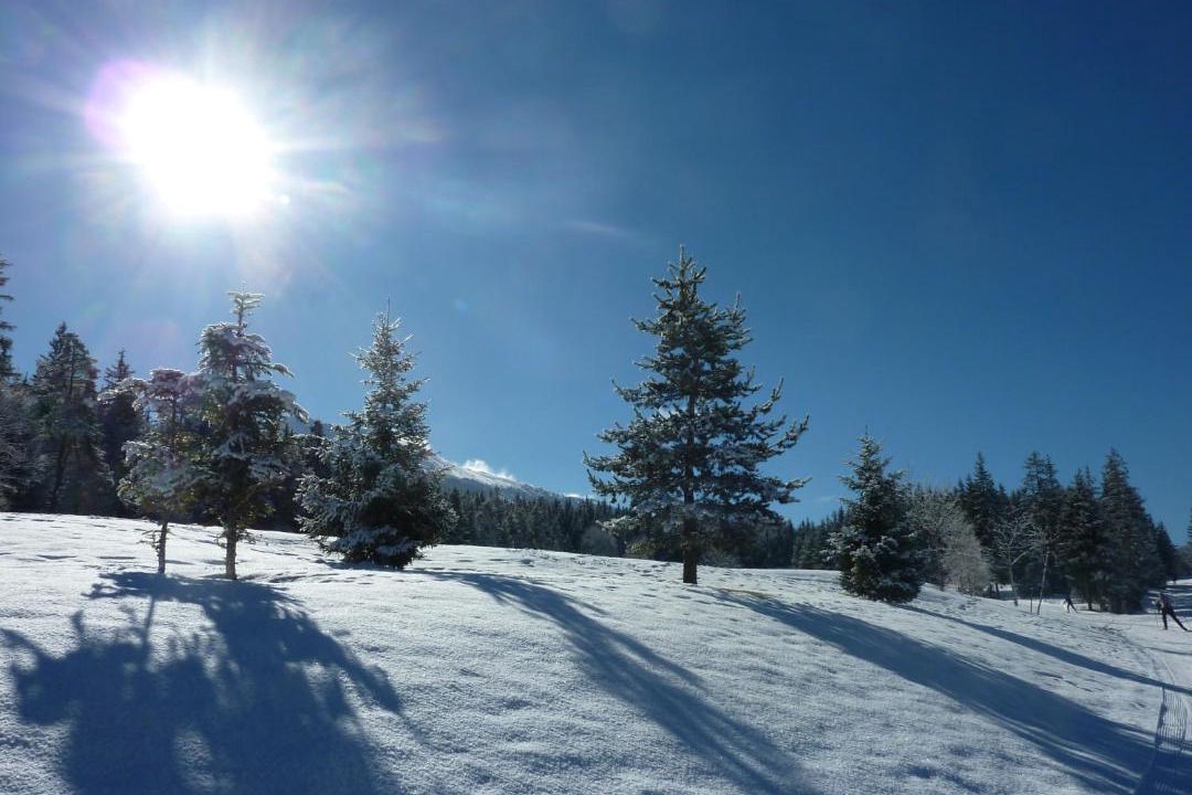 Photo of Others in Villard-de-Lans