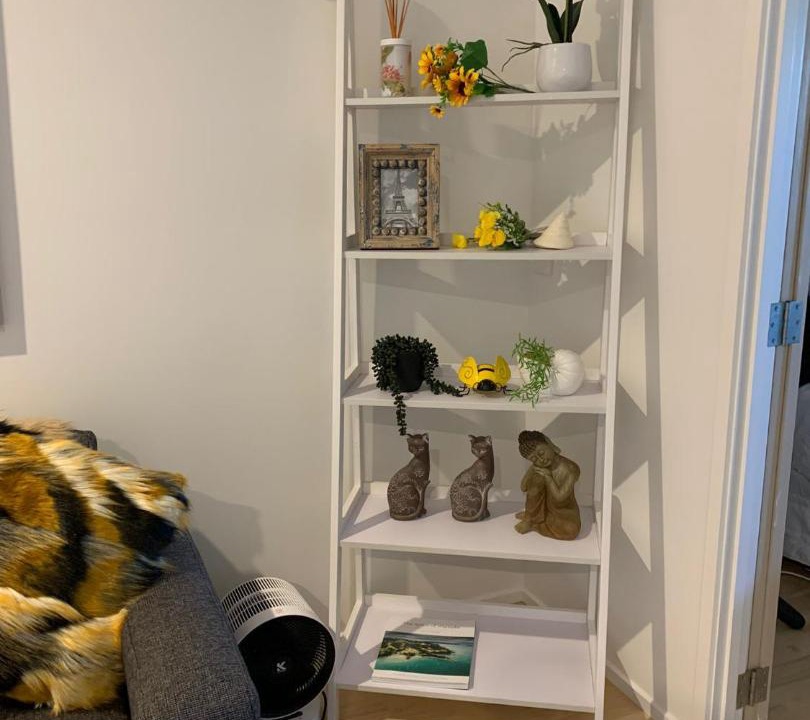 Photo of Others in Oneroa