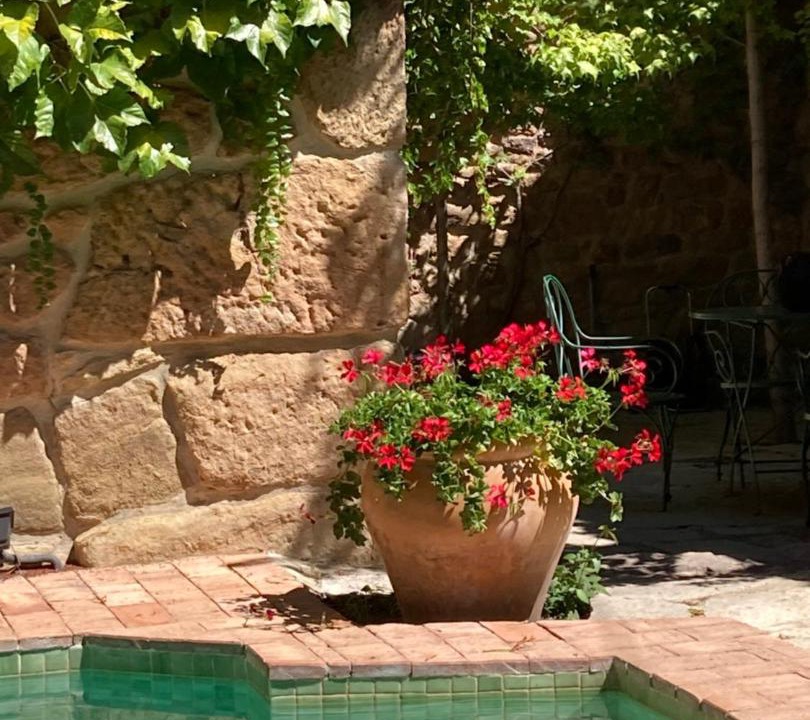 Photo of Outdoor in Cabra de Mora