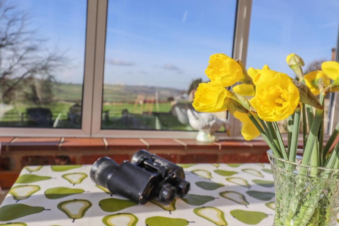 Photo of Patio Balcony in Hartwell