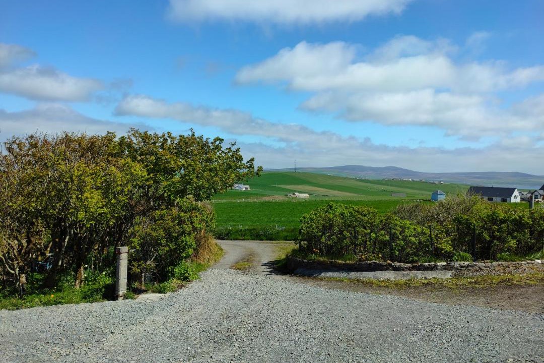 Photo of Others in Stromness