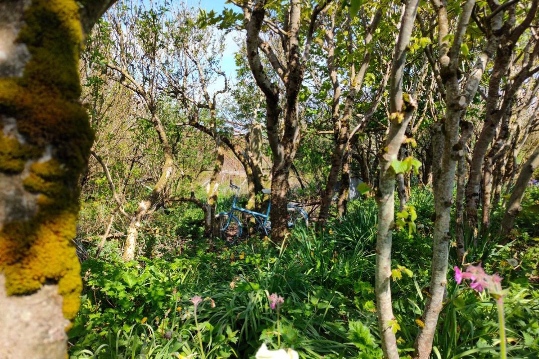 Photo of Others in Stromness