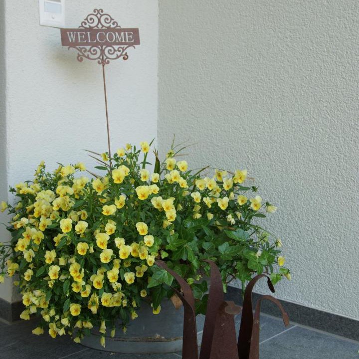 Photo of Others in Busingen am Hochrhein
