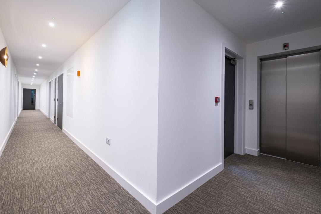 Photo of Others in Belmont