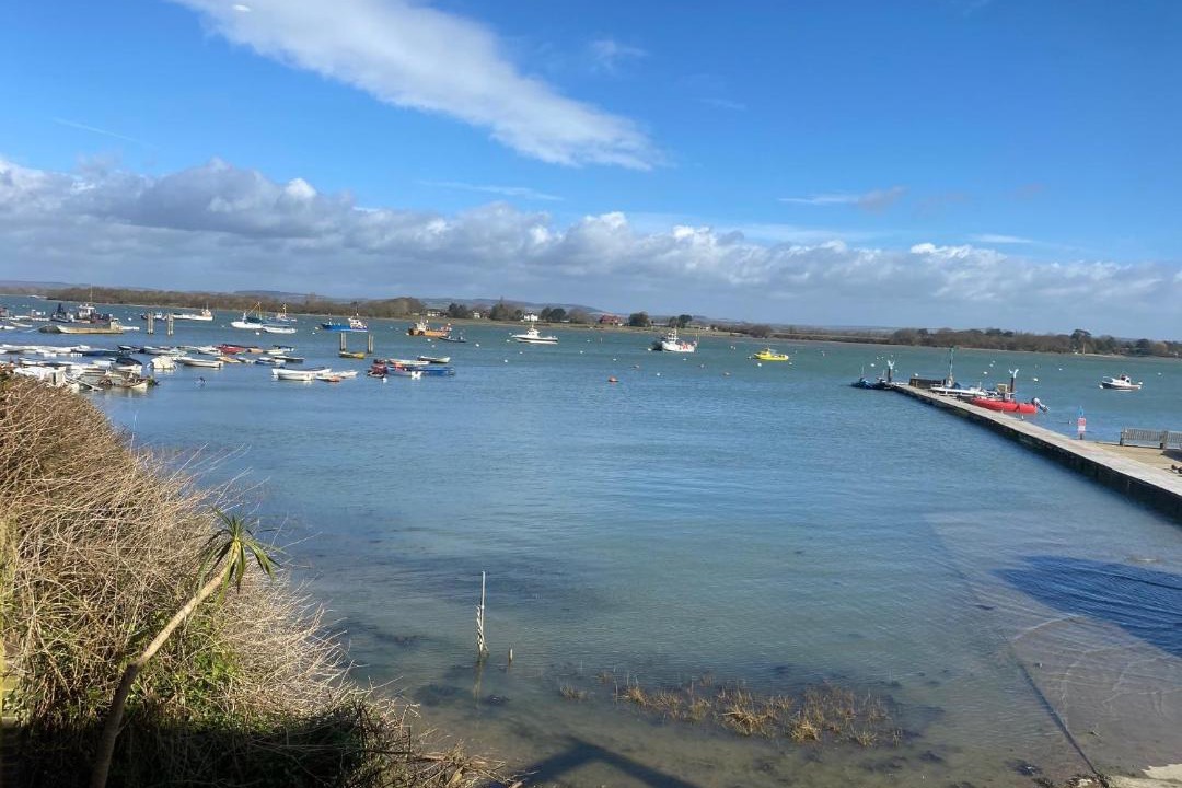 Photo of Others in West Itchenor