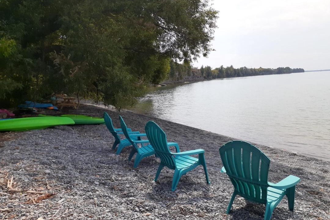 Photo of Others in Milford