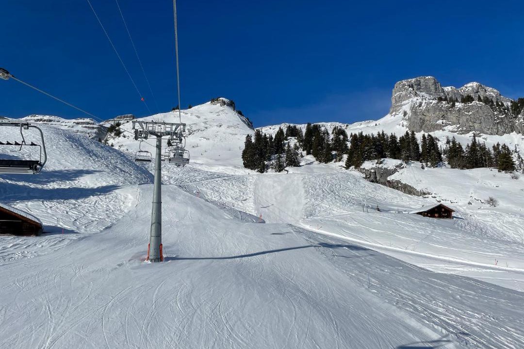 Photo of Others in Leysin