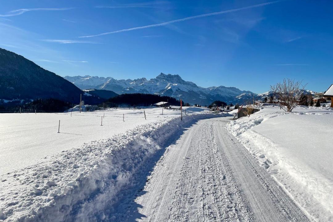 Photo of Others in Leysin