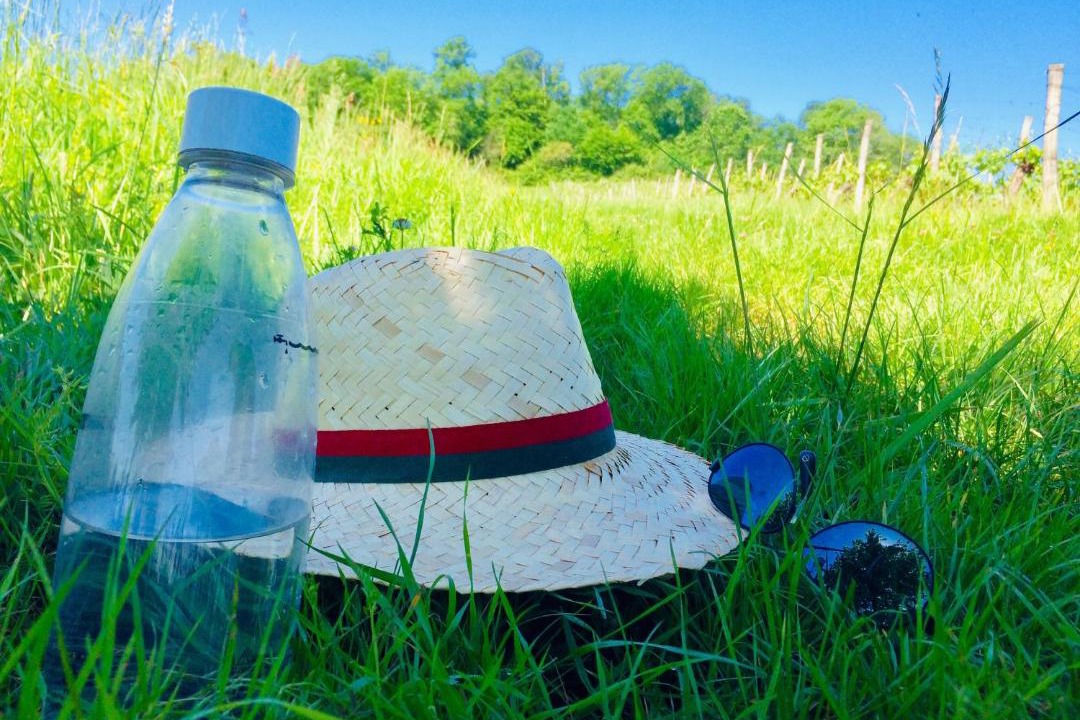 Photo of Others in Laveraet