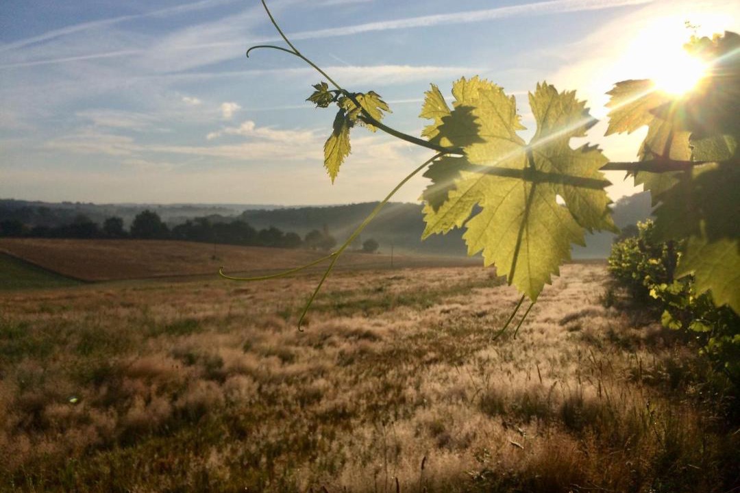 Photo of Others in Laveraet