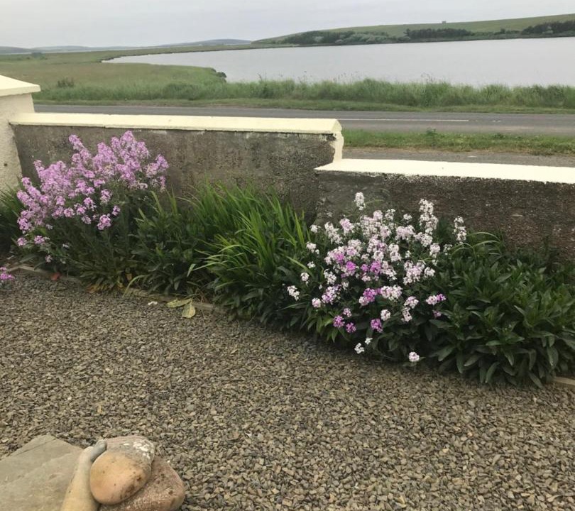 Photo of Others in St. Mary's