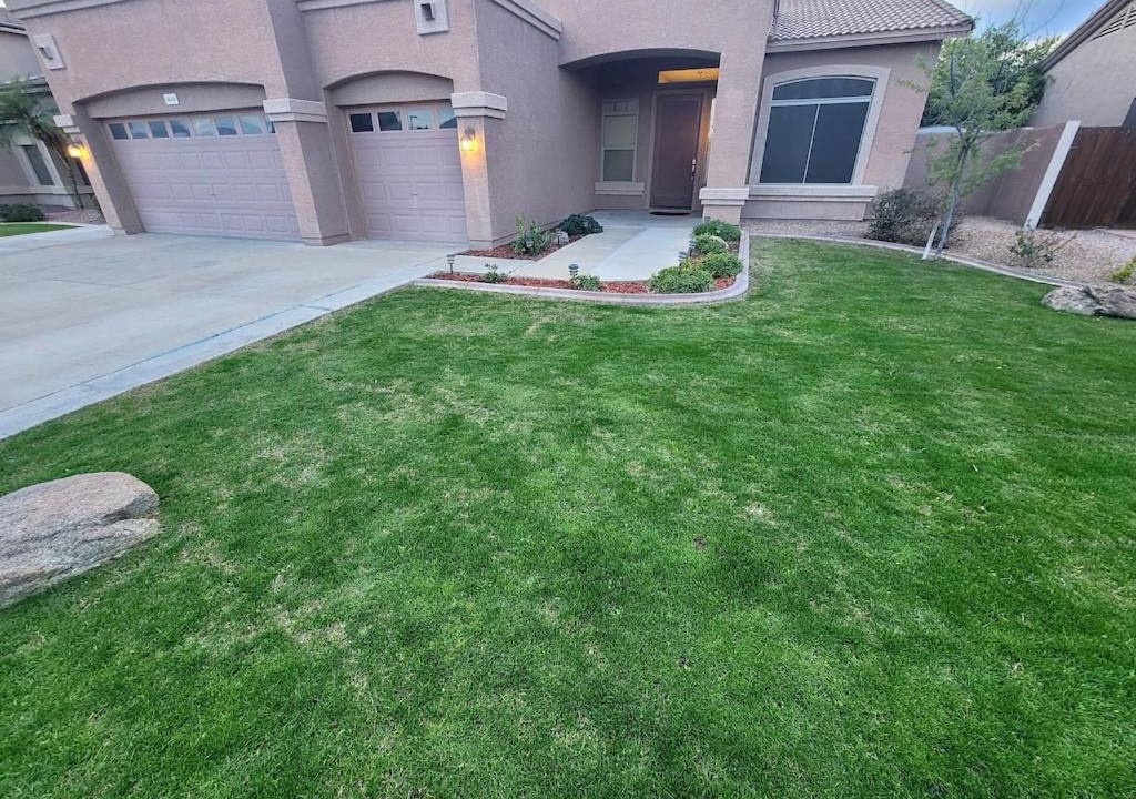 Photo of Others in San Tan Ranch