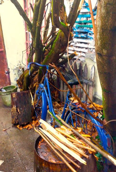 Photo of Others in Quartier Exposition-Bajatiere