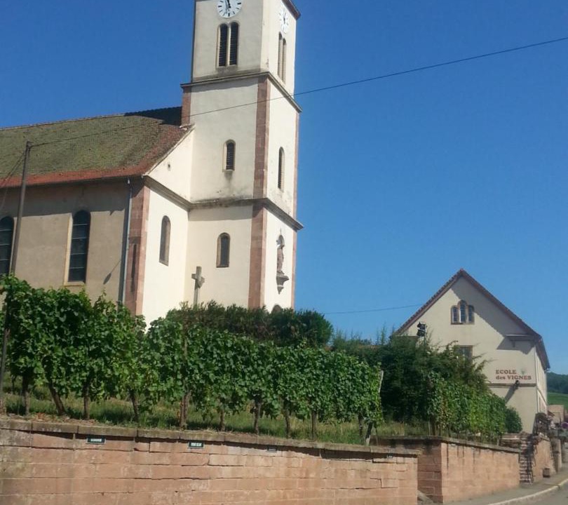 Photo of Buildings in Nothalten
