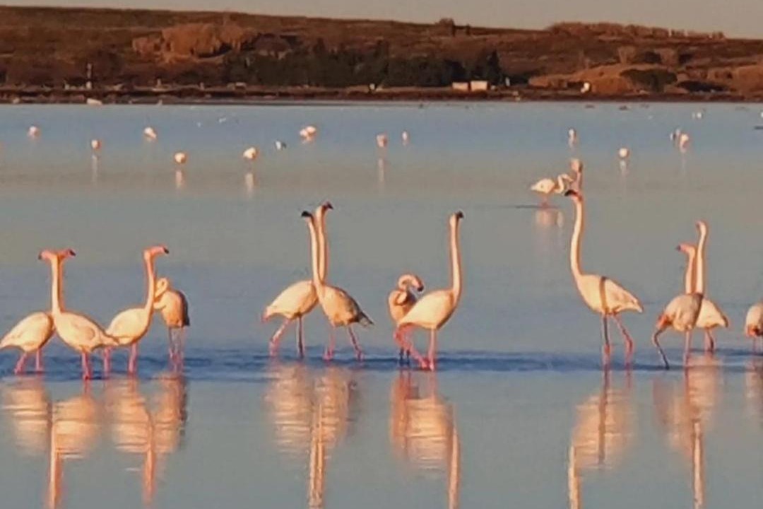 Photo of Others in Villeneuve-les-Maguelone