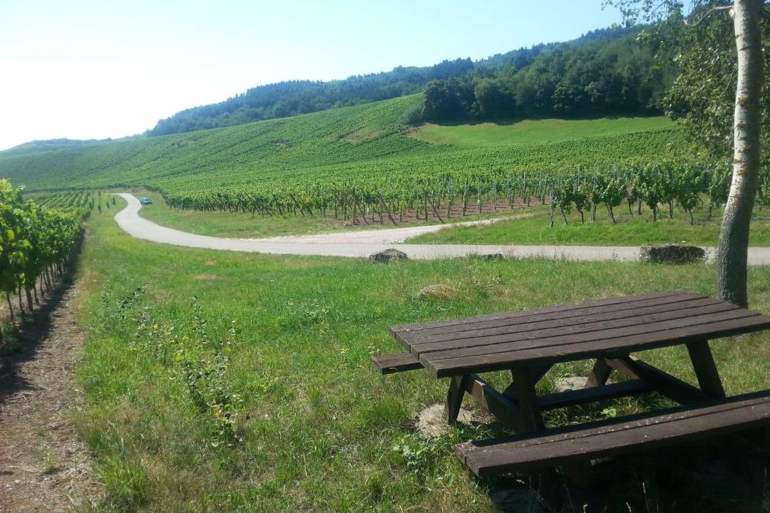 Photo of Others in Nothalten