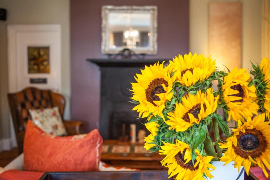 Photo of Livingroom in Cranborne