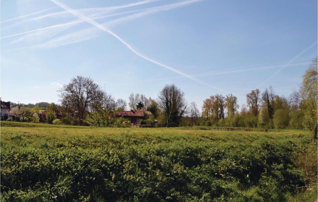 Photo of Others in Frise