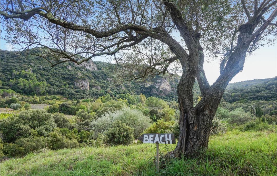 Photo of Others in Roquebrun