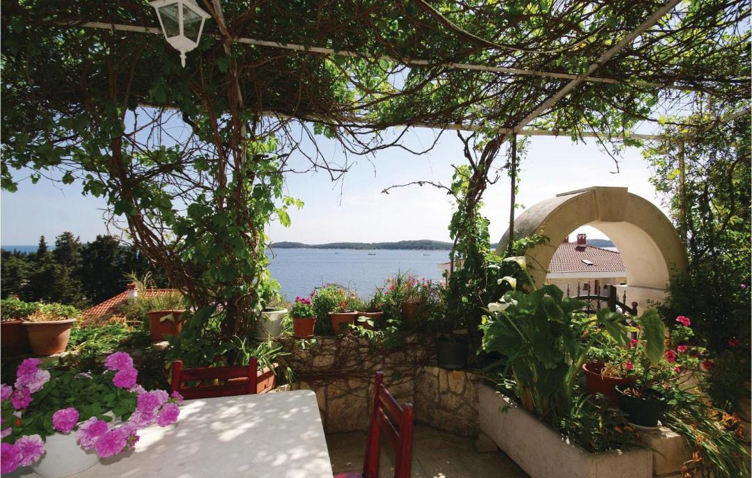 Photo of Others in Hvar