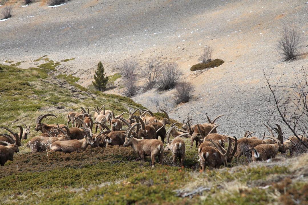 Photo of Others in Treschenu-Creyers