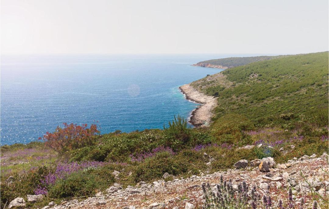 Photo of Outdoor in Premantura