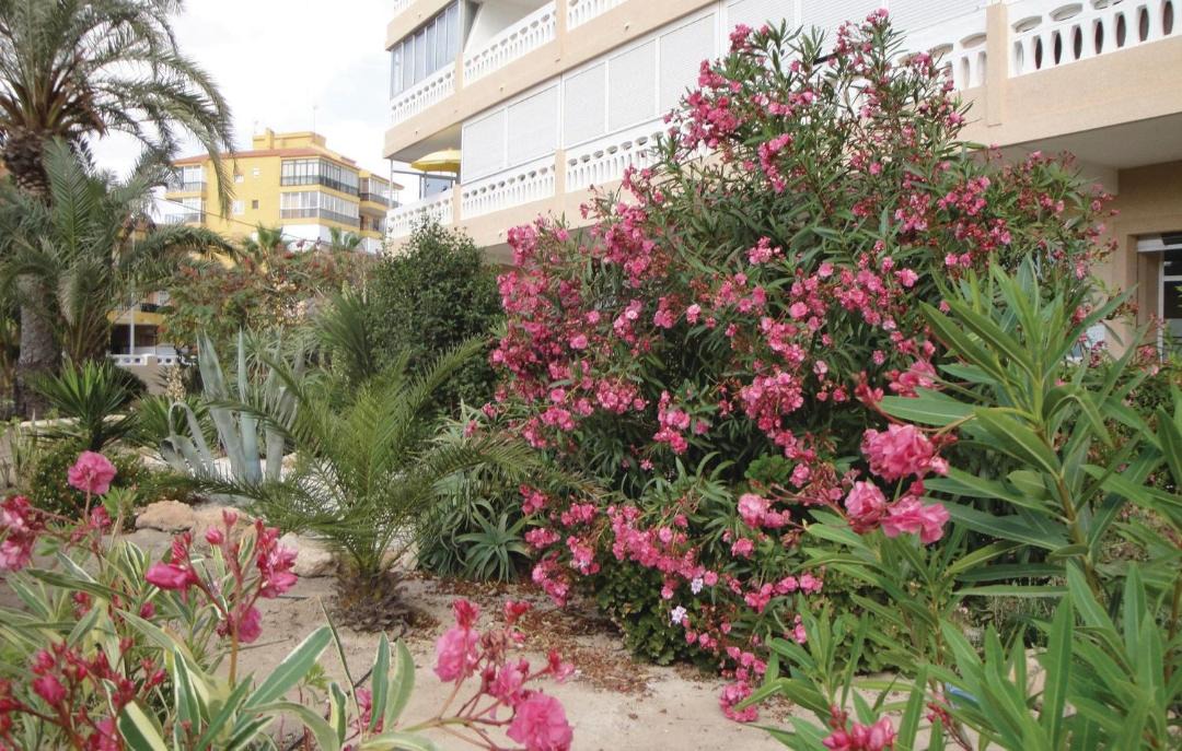 Photo of Others in La Mata