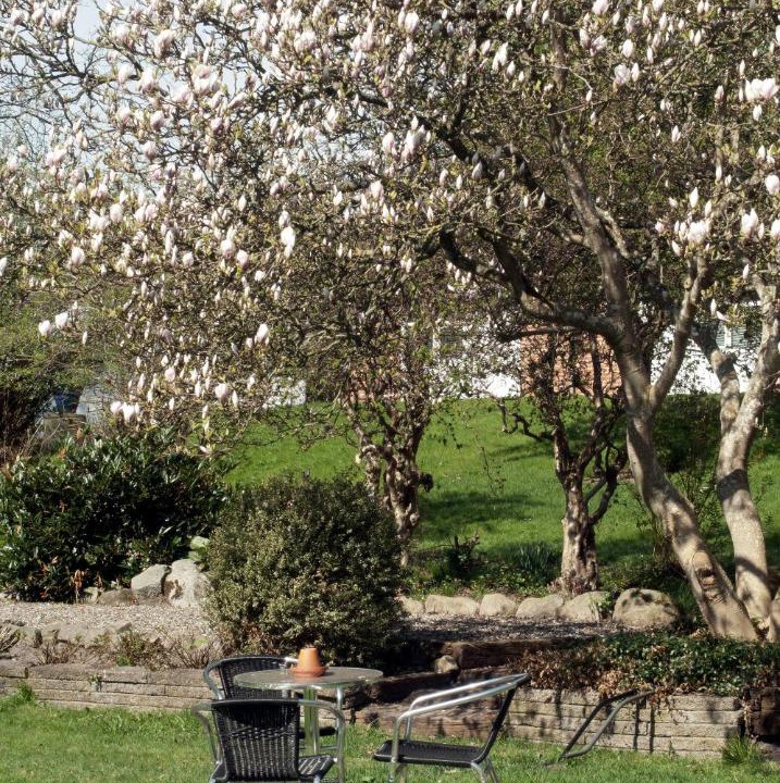 Photo of Others in Purhus