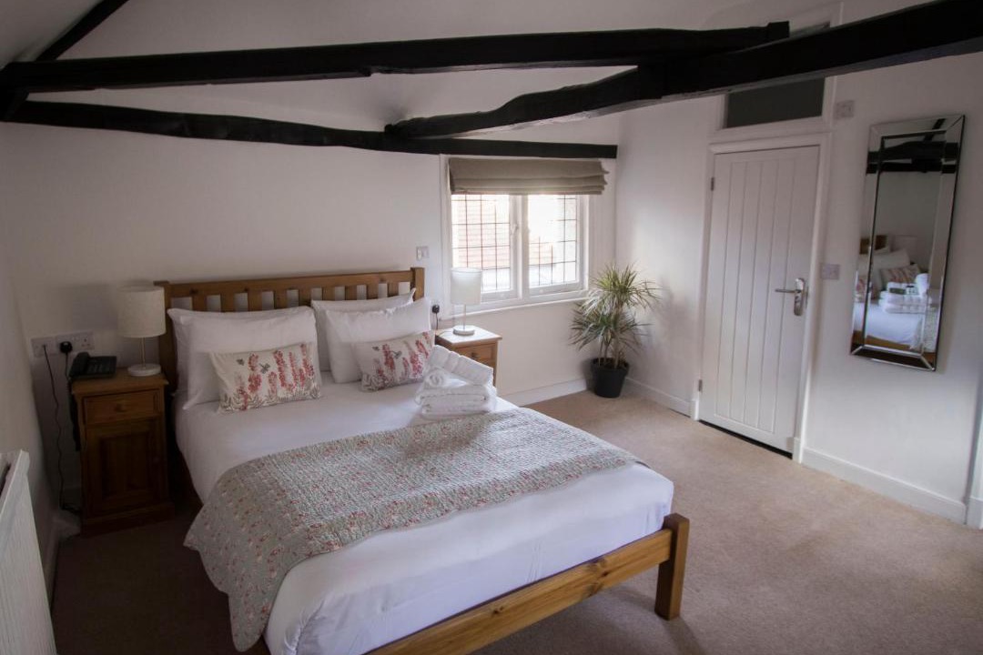 Photo of Others in Canterbury