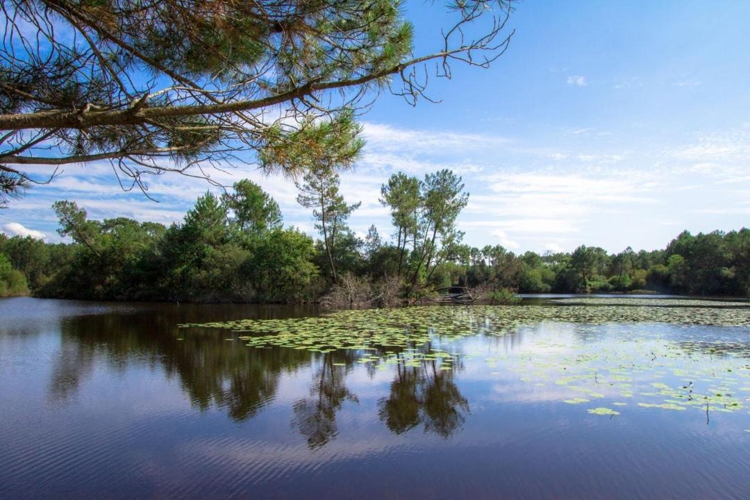 Photo of Outdoor in Leon