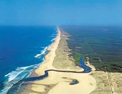 Photo of Others in Leon