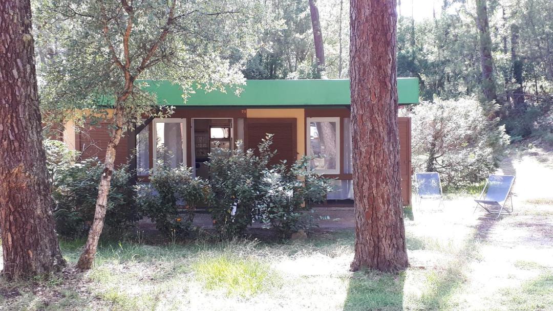 Photo of Others in Leon