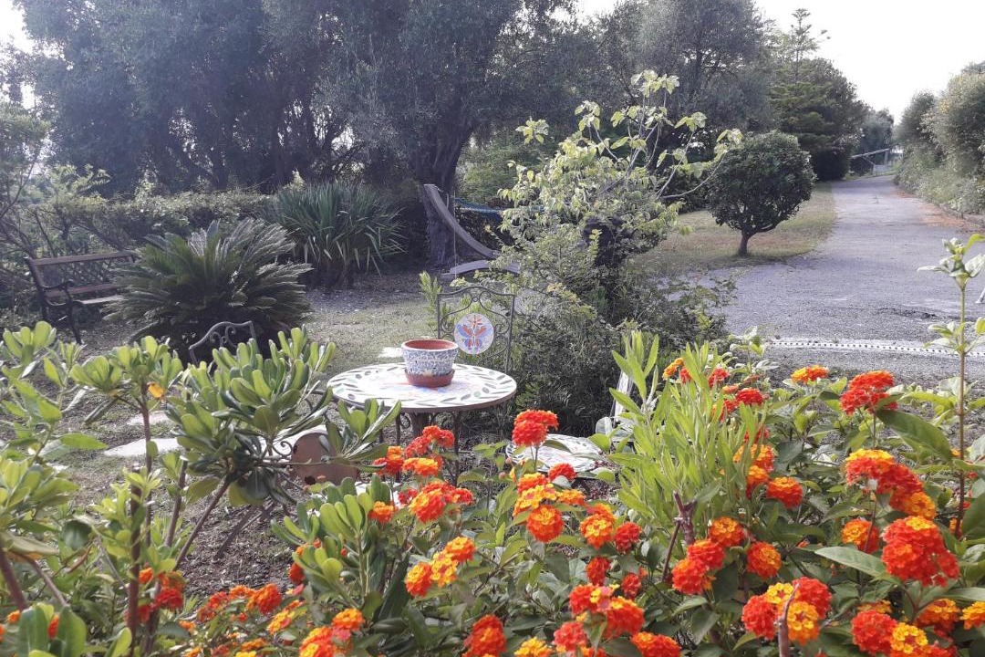 Photo of Outdoor in Saint Pierre de Feric