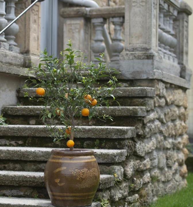 Photo of Others in Etoile-sur-Rhone