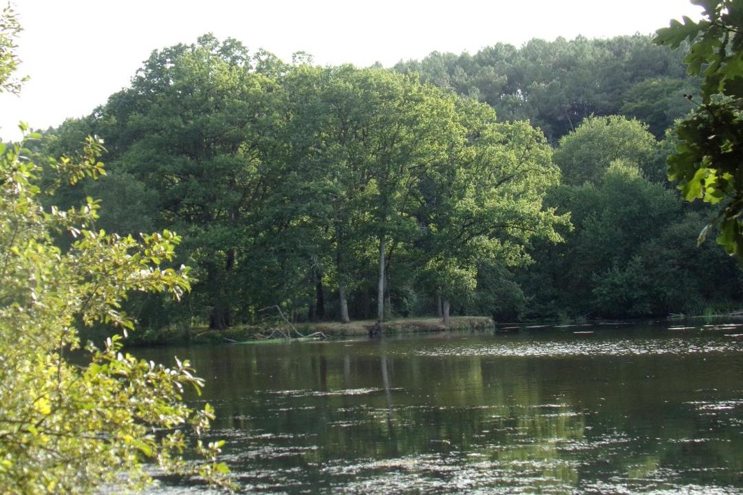 Photo of Others in Bains-sur-Oust