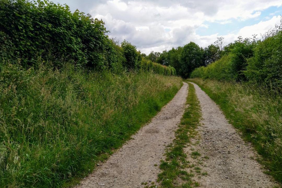 Photo of Others in Verchin