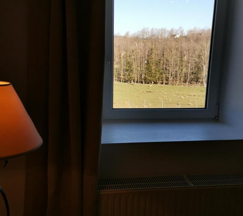 Photo of Others in Birkenwald
