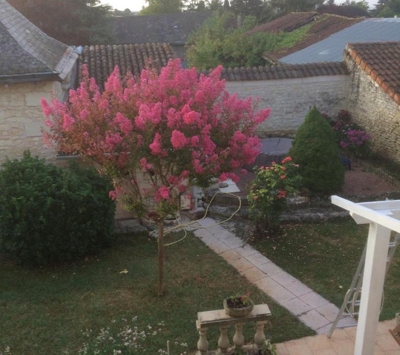 Photo of Others in Mirebeau