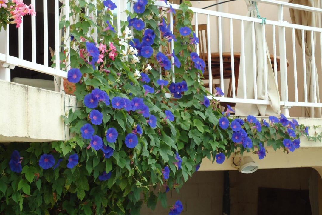 Photo of Patio Balcony in Herepian
