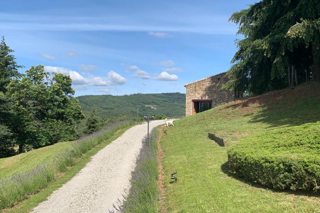 Photo of Others in Saint-Apollinaire-de-Rias