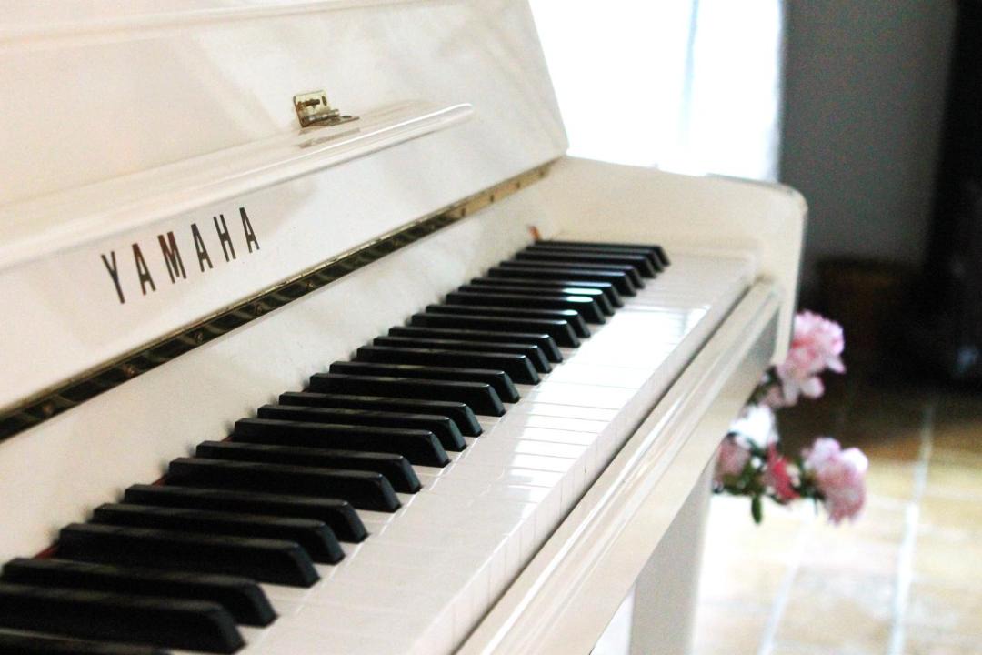 Photo of Others in Salon-de-Provence