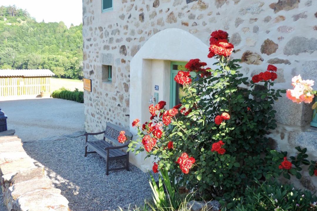 Photo of Others in Bar