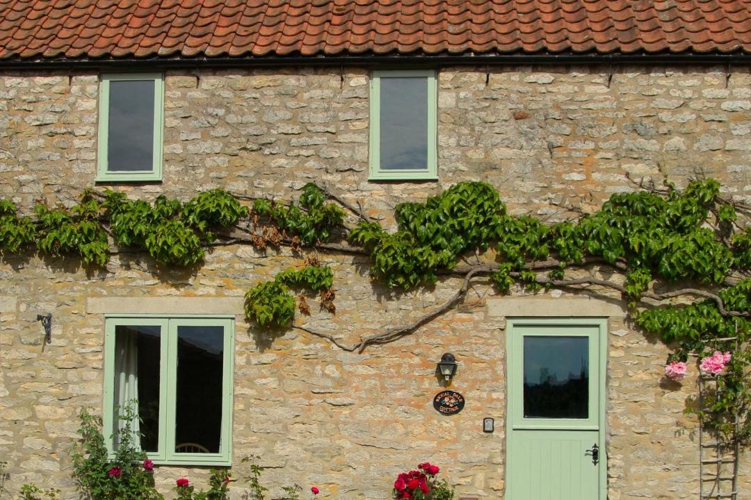 Photo of Buildings in Scawton
