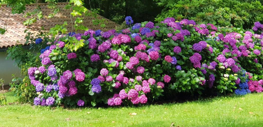 Photo of Others in Saint-Pee-sur-Nivelle