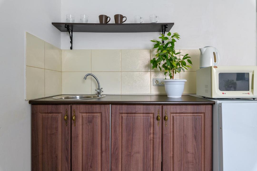 Photo of Kitchen in Pushkinsky District