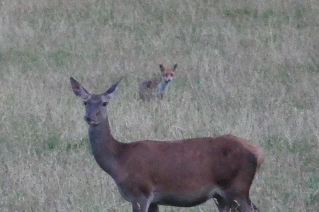 Photo of Others in Langeais
